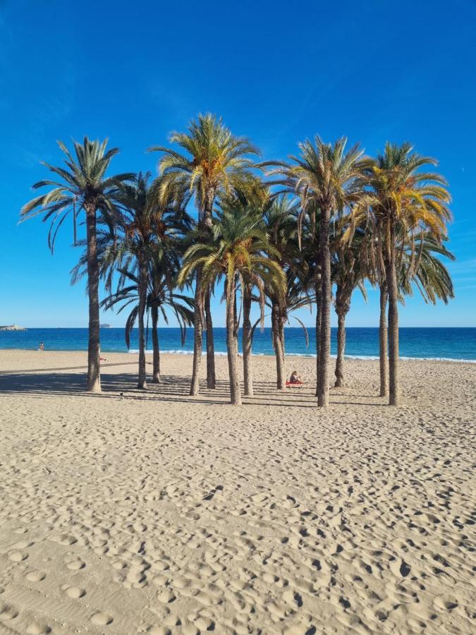 Apartamento Flamenco Penthouse Sea View & Swimming Pool Torrevieja Exterior foto