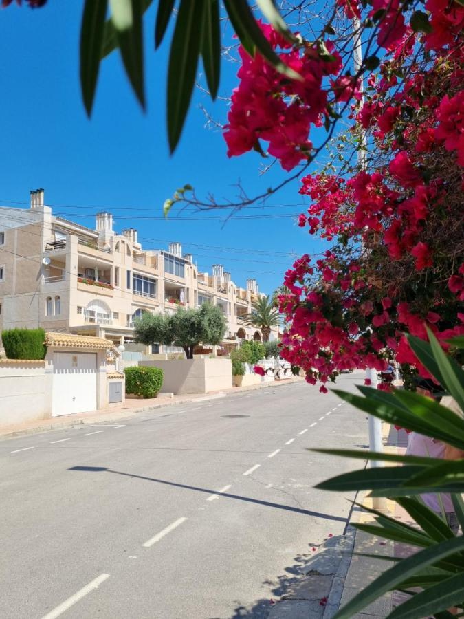 Apartamento Flamenco Penthouse Sea View & Swimming Pool Torrevieja Exterior foto